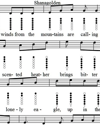 Shanagolden Song
